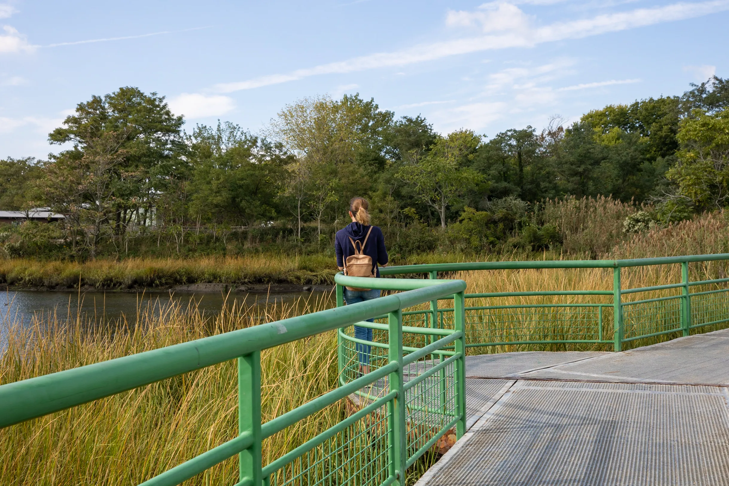Woman on planked walkway looking at natural landscape